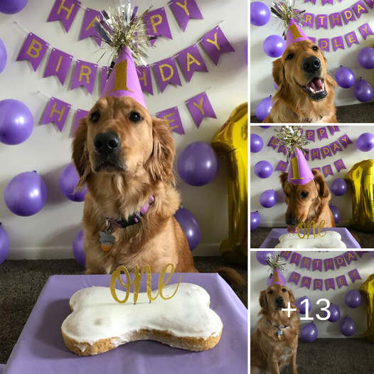 Turning One Today: Feeling Forgotten on My Special Day 💔🎂