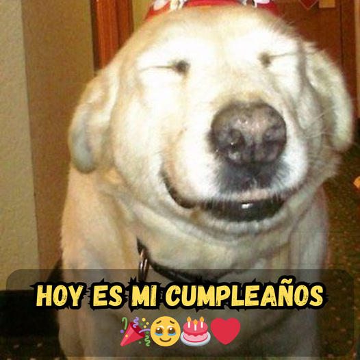 Today’s Silence Feels Like a Void, Dimming the Joy of My Birthday. 😔🎂