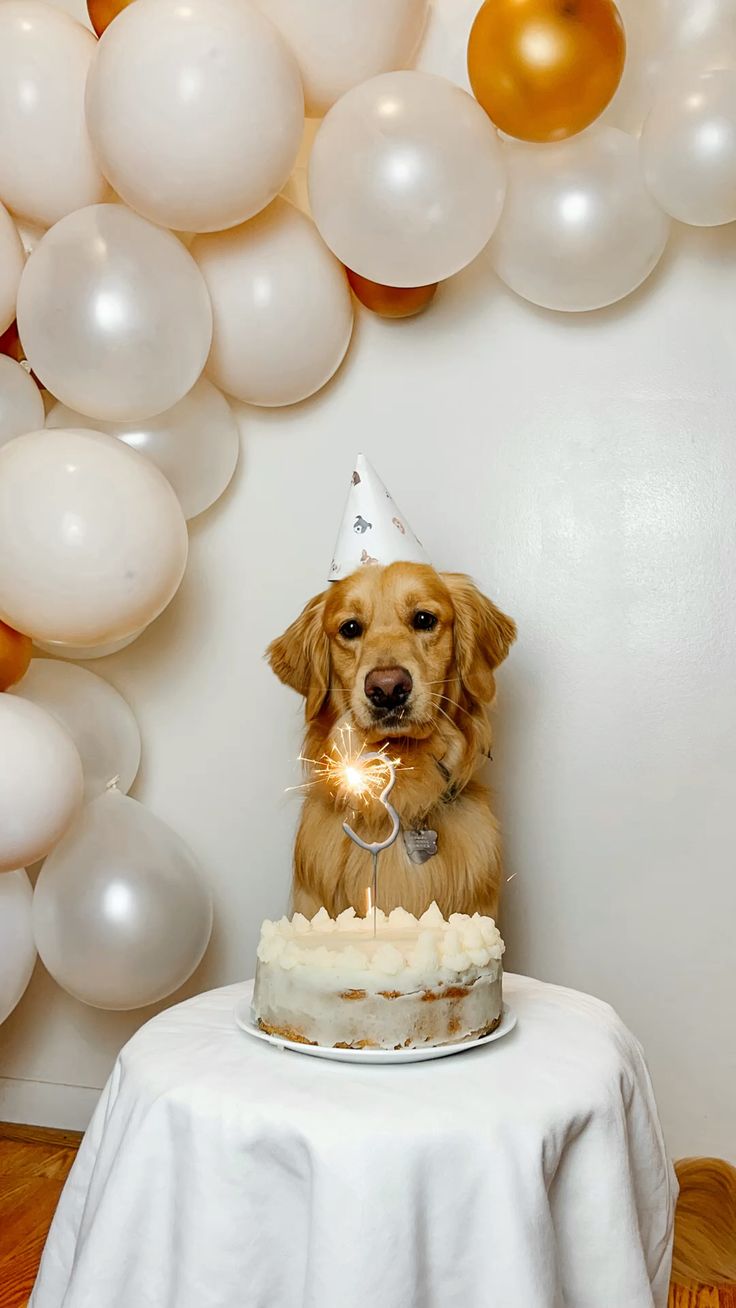 On My 3rd Birthday, Feeling Sad and Forgotten: No One Has Wished Me a Happy Birthday