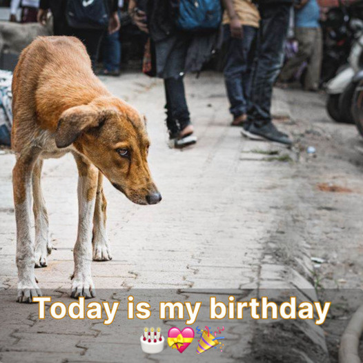 Disheartened on My Birthday: Friends Absent, Leaving in Solitude with Unspoken Doubts