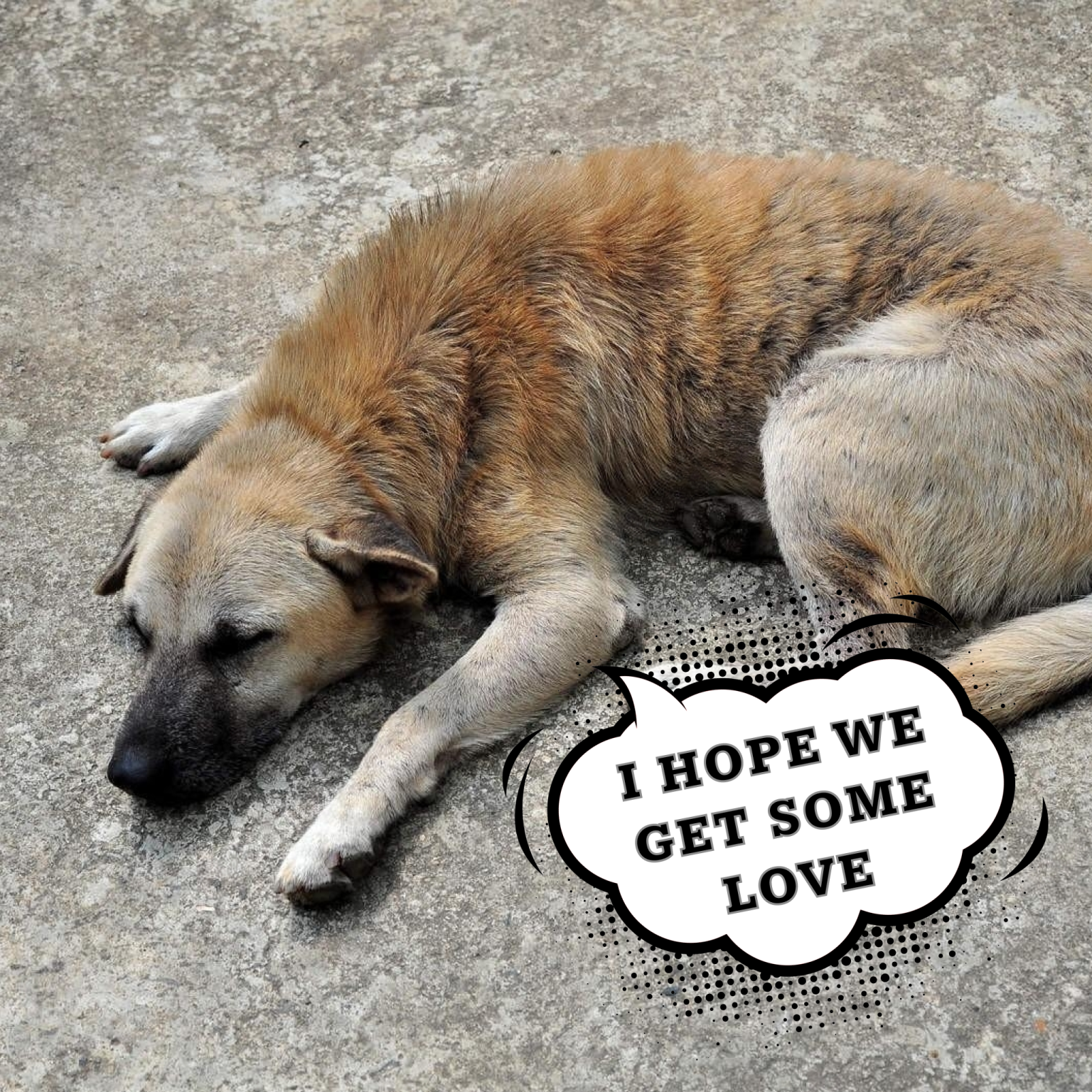 “My birthday is here, but it hurts to receive no well-wishes, even though I know I’m not perfect